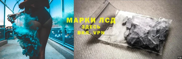индика Беломорск