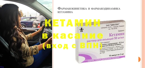 индика Беломорск