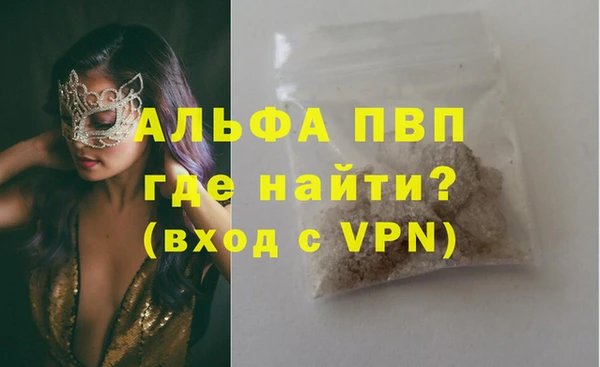 индика Беломорск