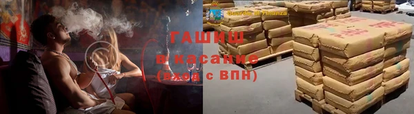 индика Беломорск
