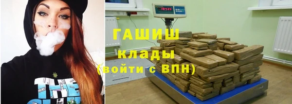 индика Беломорск