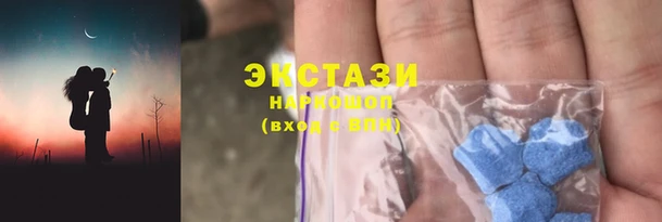 гидра Богородск