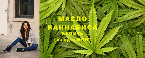 индика Беломорск