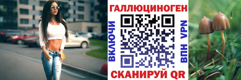 Псилоцибиновые грибы MAGIC MUSHROOMS  Боготол 